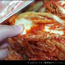 성경유통 이미지