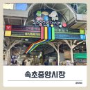 중앙2로 | 속초중앙시장 먹거리 포장과 선물 내돈내산 후기 &amp; 주차 정보