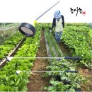 약대농장 이미지