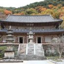 화엄사1로 이미지