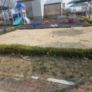 금모래 어린이집 놀이터 | 경북 경주시 00직장어린이집 놀이터 모래소독 작업후기