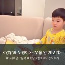 우물밖개구리 | 5세 어린이 속담 그림책 키큰도토리 암탉과누렁이 우물안개구리 독서 후기
