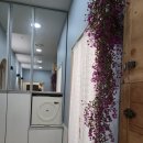 휴안마토피아 | 묵은 피로가 풀리는 느낌, 주안마사지 휴안마토피아 후기