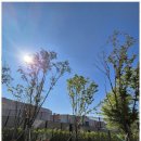 명소공인중개사사무소 이미지