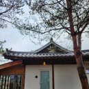 사계절, 몽 | [대한민국 진안] 반려견 동반 숙소 몽동원스테이 후기