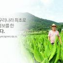 진도원조울금사업소 네이버블로그