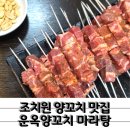 조치원읍 욱일아파트 | 조치원양꼬치 맛집 운옥양꼬치마라탕 꿔바로우 핵강추