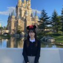 주식회사 에버템 | [도쿄] 2월 도쿄 디즈니랜드 사진 꿀팁 , 어트랙션 솔직후기