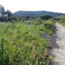 성읍리-3 이미지