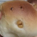 증평초후문~삼일공원 | 낮이 말라 밤이 차오르듯