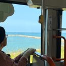 소원별장 - 26555 | 니가타 관광 순환버스 후기, 1일권 사용 방법. 하쿠산 신사 사이토 별장 피아반다이 폰슈칸 사케 추천