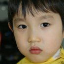 주여비네 이미지