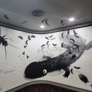 영월동굴생태관 이미지