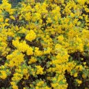 비슬산둘레길 4구간 이미지