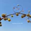 갯골생태공원(인포센터) 이미지