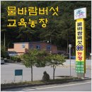 [영월농촌체험농장] 물바람버섯교육농장 - 버섯의 신비한 이야기 이미지