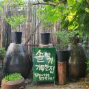 솔향기가득한집 이미지