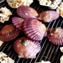 삼촌과조카본점 이미지