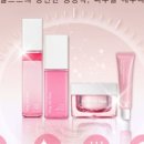 피누스스토어다온