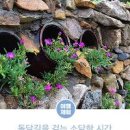 공주여행 상신리 아름다운 돌담풍경마을 산책 이미지