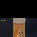 동경전자 이미지