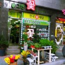 사동그린꽃 이미지