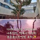 푸른솔병원