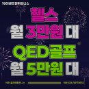 1981골프앤휘트니스
