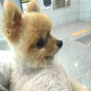 오케이참병원 앞 이미지