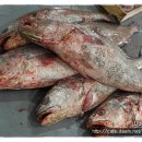 느티나무당구장 이미지