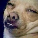 에벤에셀광고사 이미지