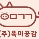 고기공감