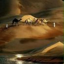 돈보따리 이미지