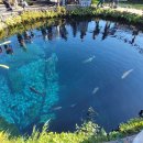 오리연못 화장실 | 도쿄 근교 후지산 버스투어 오시노 핫카이 연못, 가는 법, 주차장