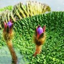 도봉-도봉-2525 이미지