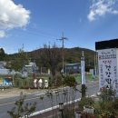 아트벨리자작나무 이미지