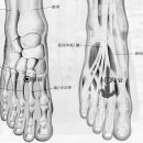 손앤이한의원 이미지