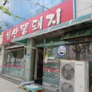 침산똥돼지