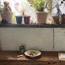 디저트39 부산신라대점 | 부산 전포디저트카페 투어, 교토식 호지차와 티라미수 후기 팟오브부산