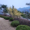 청평여울시장 상설동 화장실 | 가평 청평 펜션 북한강뷰 모닝힐펜션 가람 숙박 숙소 후기