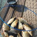 대박낚시터 이미지