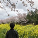 새미다방 이미지