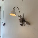 단스부띠끄 이미지