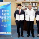 금오 태양광발전소 이미지