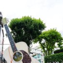 근대문화골목 시어뿌 | 대구 가볼만한곳 근대골목 김광석거리 주차장 대구 로컬 감성 여행 데이트 코스
