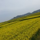 호미곶경관영농조합법인 이미지