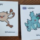 왕솥뚜껑흑돼지 이미지