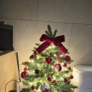 (12/09)크리스마스 미니트리 | 크리스마스 트리 풀세트 장식 구매 후기_ 루시아이 미니트리 풀세트160cm 내돈내산 구매 추천