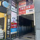 몽이네 맡겨보시개 | 오창 애견호텔 유치원 이용 후기 | 몽이네맡겨보시개