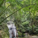 정다운농장 | [여행]#코타키나발루 키나발루온천욕 솔직후기#가나센터호텔 리뷰